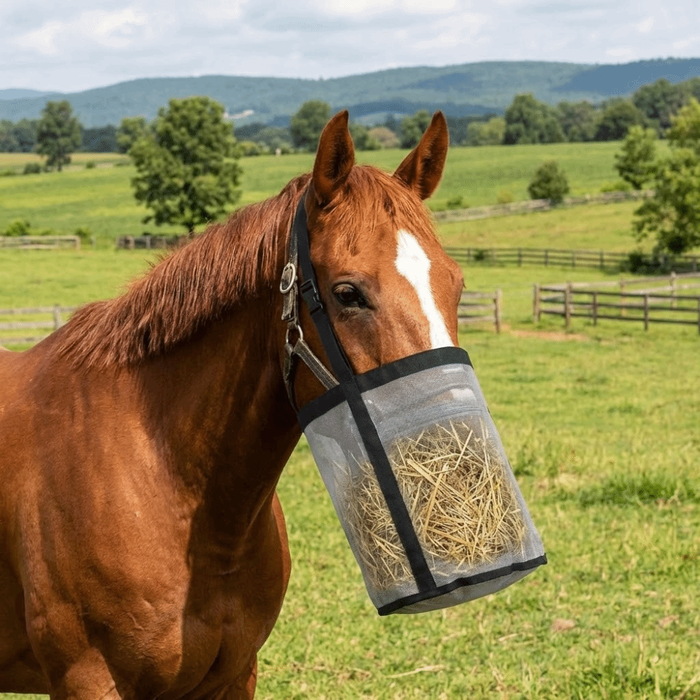 Portable Leak-Proof Horse Feed – Mesh Feeder Bag Bewertung und Preis