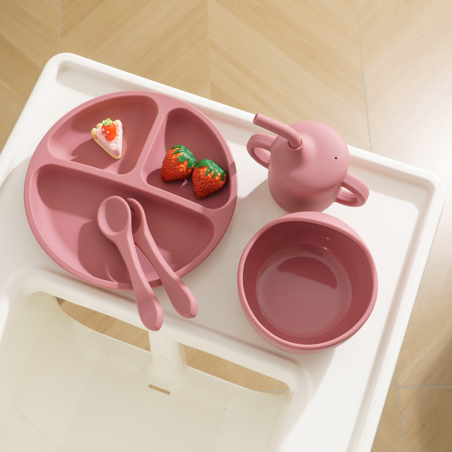 5PCS Baby Silicone Tableware S – Baby Food Kit Bewertung und Preis