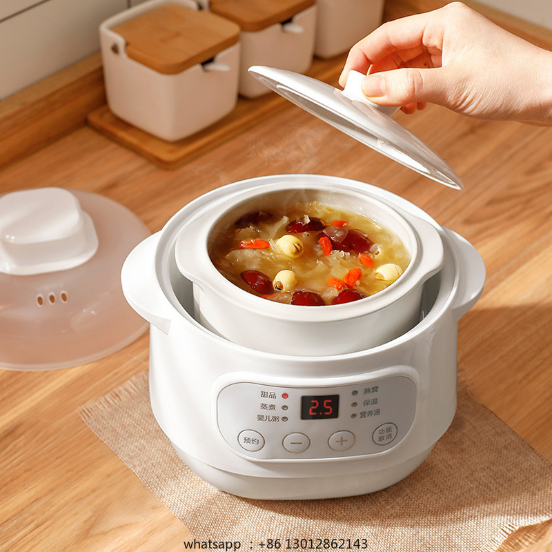 200W Electric Slow Cooker Food – Baby Food Steamer Bewertung und Preis