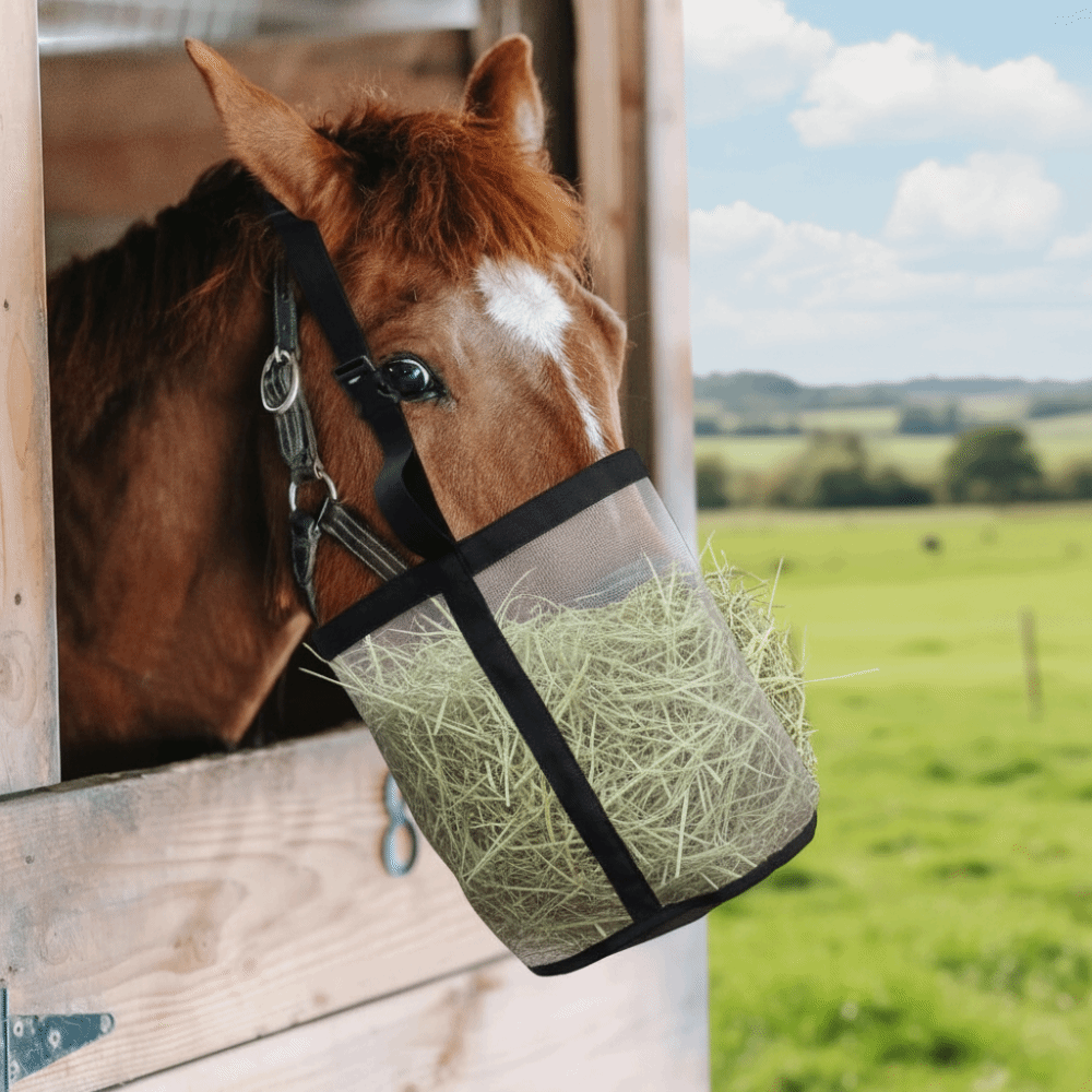Portable Leak-Proof Horse Feed – Mesh Feeder Bag Bewertung und Preis
