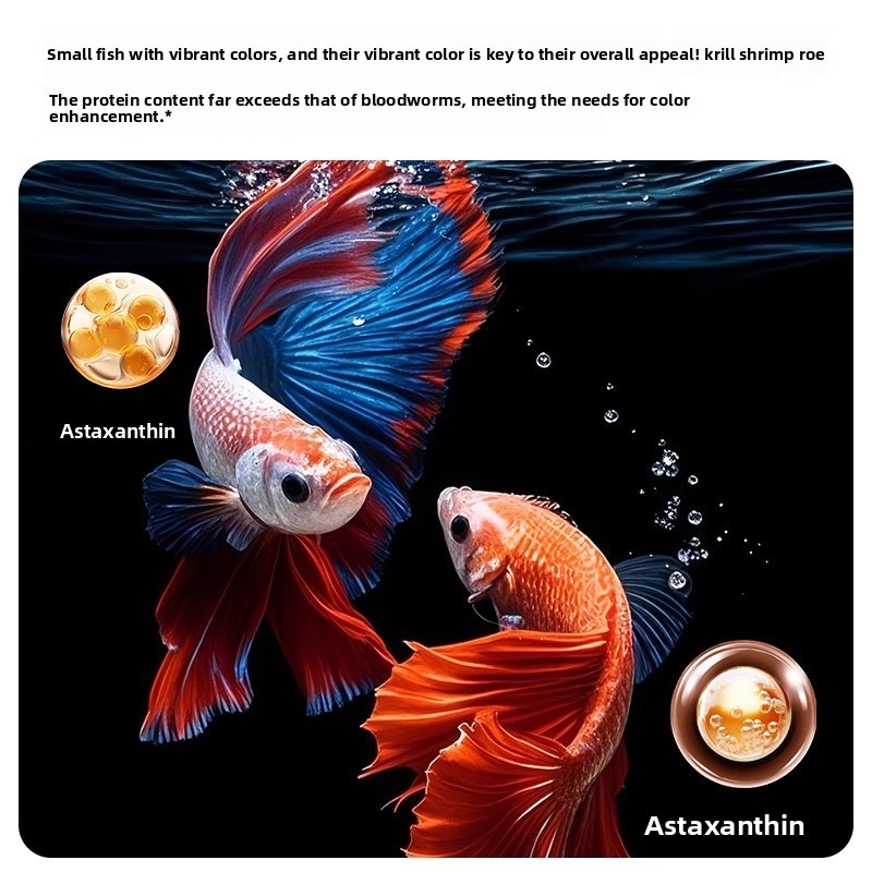 Yee Krill & Baby Shrimp Dry Fo – Dry Food Baby Bewertung und Preis